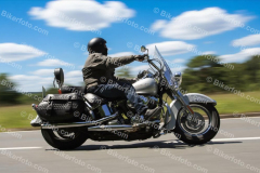 1851 Bild hier bestellen https://bikerfoto.com/bild-bestellen/