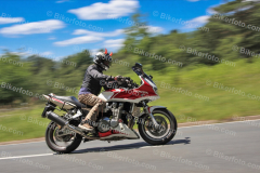0810 Bild hier bestellen https://bikerfoto.com/bild-bestellen/