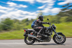 1161 Bild hier bestellen https://bikerfoto.com/bild-bestellen/