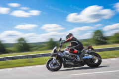 1409 Bild hier bestellen https://bikerfoto.com/bild-bestellen/