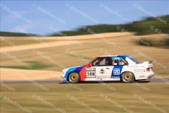 MG_3405