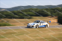 MG_3448