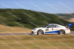 MG_3451