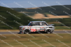 MG_3794