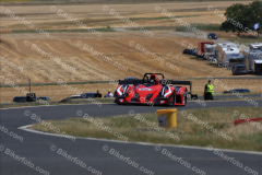 MG_4328
