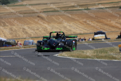 MG_4354