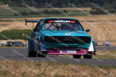 MG_4427