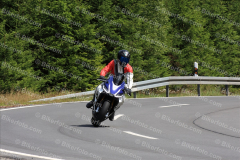 MG_3451