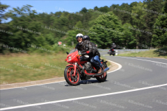 MG_0019