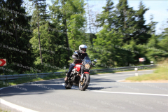 MG_0035