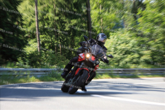 MG_0060