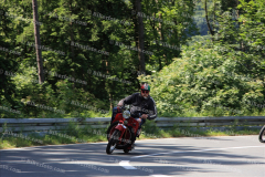 MG_0236