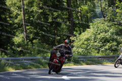MG_0237