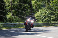 MG_0295