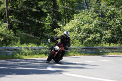 MG_0395