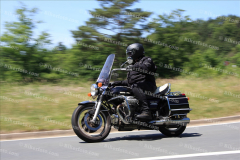 MG_0547