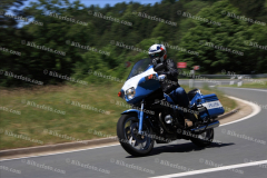 MG_0565