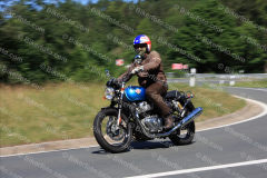 MG_0919