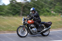 MG_1190