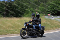 MG_1434