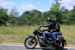 MG_1437