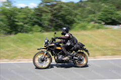 MG_1480