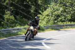 MG_1496