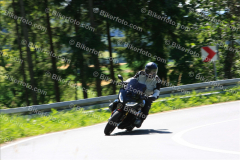 MG_2029