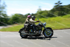 MG_2180
