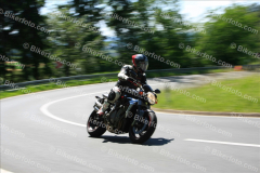 MG_2196