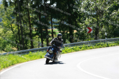 MG_2265