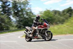 MG_0808