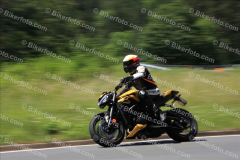 MG_0955