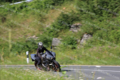 MG_1545