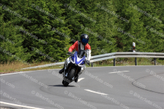 MG_3451