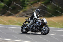 MG_3552