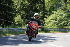 MG_0403