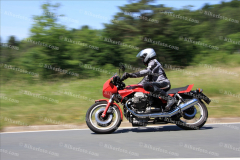 MG_0459