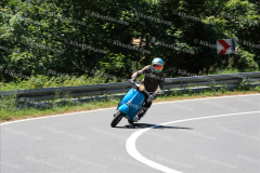 MG_0596