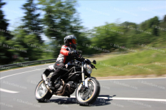 MG_0706