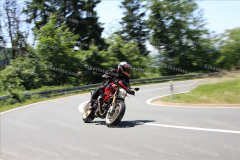 MG_0782