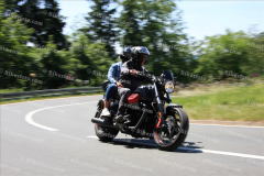 MG_0803