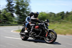 MG_0804