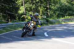 MG_9531