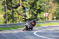 MG_8551