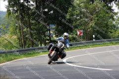 MG_9784