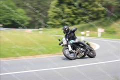 MG_9842