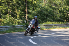 MG_0888